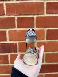 Image 2 of Coal Tit Ornament