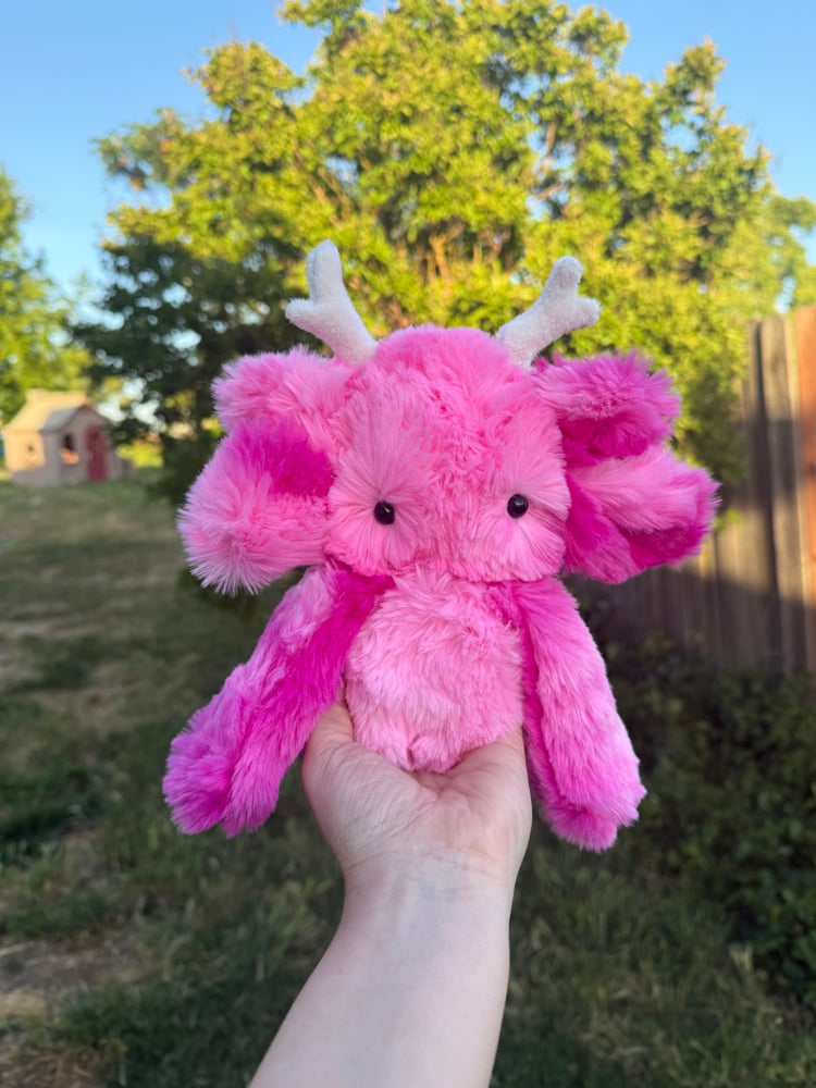 Image of nursery pink dweller