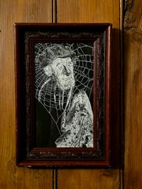 Image 1 of 1800s Gustave Dore Spiders - with real preserved webs