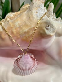 Image 3 of Scallop Shell Necklace N172