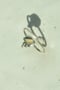 Image of Opal Ring No 2