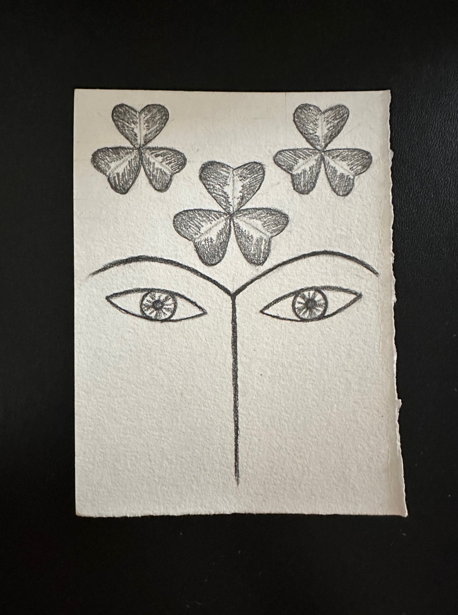 Image of Sensual World drawings :Redwood, Sorrel, Ginger