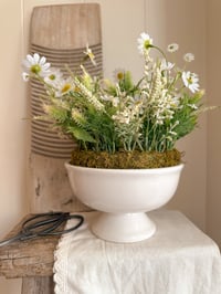 Image 4 of Wildflowers Display on Moss 