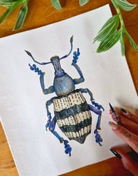 Image 9 of Weevil ORIGINAL ARTWORK