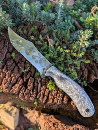 Image 2 of DAWNMIST BOWIE