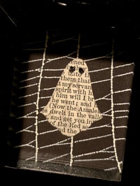 Image 2 of 1800’s biblical Ghost with preserved spider web - black framed.