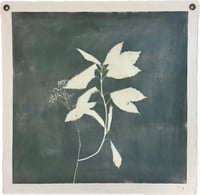 Image 1 of Japanese Laurel and Baby’s Breath in Myrtle Green