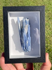 Image 1 of Blue Kyanite & Quartz Specimen #1897