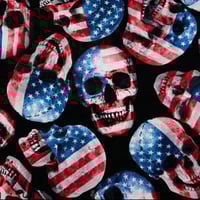 Image 1 of Abstract - American Skulls