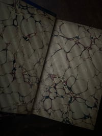 Image 3 of Cours élémentaire de Botanique, A.Mangin,1886