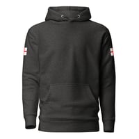Image 5 of Unisex Hoodie Three Lions Back