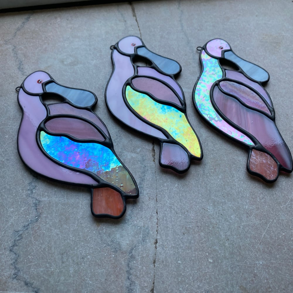 Image of Spoonbills