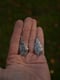 Image of White Oak Leaf Earrings