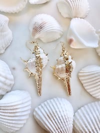 Shell Dangle Earrings