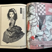 Image 23 of SM Secret Novel 1980 #4