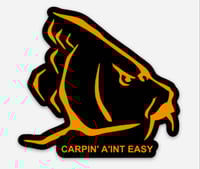 Image 1 of Carp Vinyl Decals