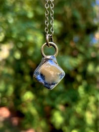 Image 1 of Autumn Light