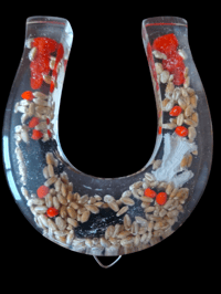 Image 4 of Clear Santa Muerte Horseshoe 