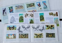Image 2 of Vintage Brooke bond card books