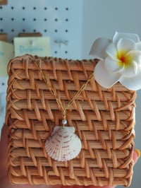 Image 5 of Classic Scallop Shell Necklace 
