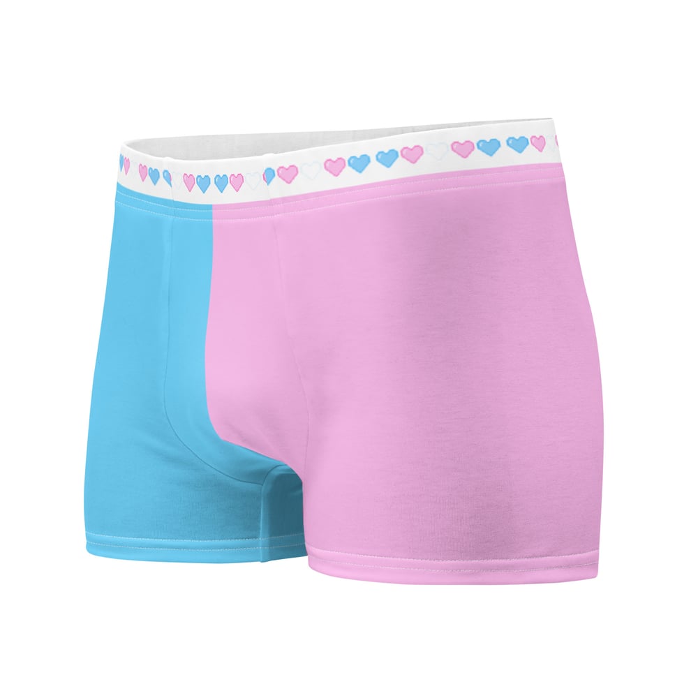 Image of TRANS RIGHTS Boxer Briefs