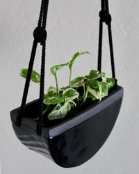 Image 5 of 'Obsidian' Hanging Luna Planter