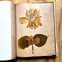 Image 7 of Annie Leibovitz - Pilgrimage (Signed)