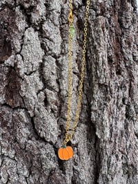 Image 2 of Pumpkin Patch