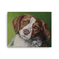 Image 1 of Brittney Spaniel