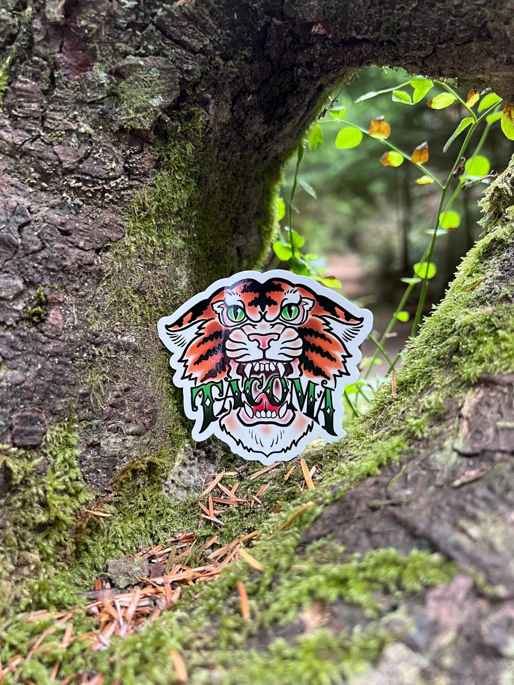 Tacoma Tiger