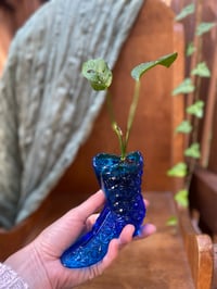 Image 2 of Baby Monstera in Vintage Blue Glass Boot