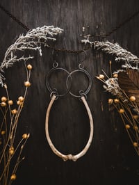 Image 4 of Rib Spirals