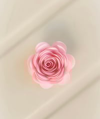 Image 2 of Medium Spiral Rolled Classic #182 