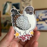 Image 2 of modena pigeon sticker