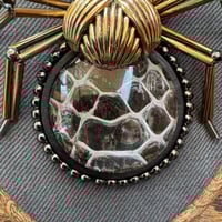 Image 3 of Snake skin spider (a, 4x5 inches)