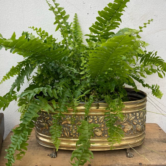 Antique brass planter
