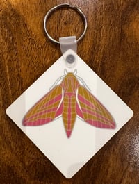 Image 3 of Elephant Hawk-moth - No.4 - Hawk-moth Series