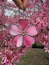 Image 1 of Cherry Blossom (Large)