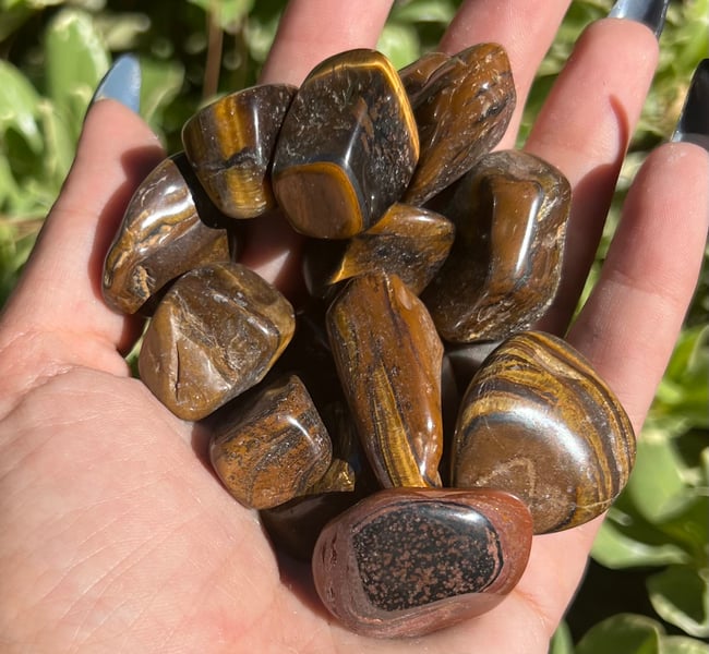 Tigers Eye