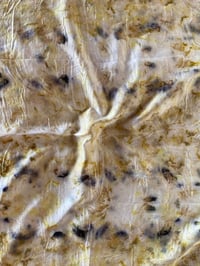 Image 1 of Silk Scarf 005