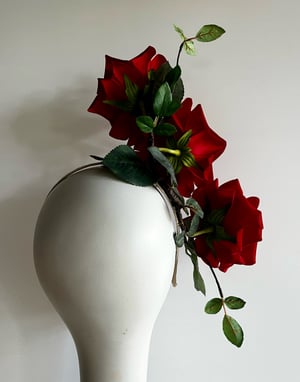 Image of Red, red roses.