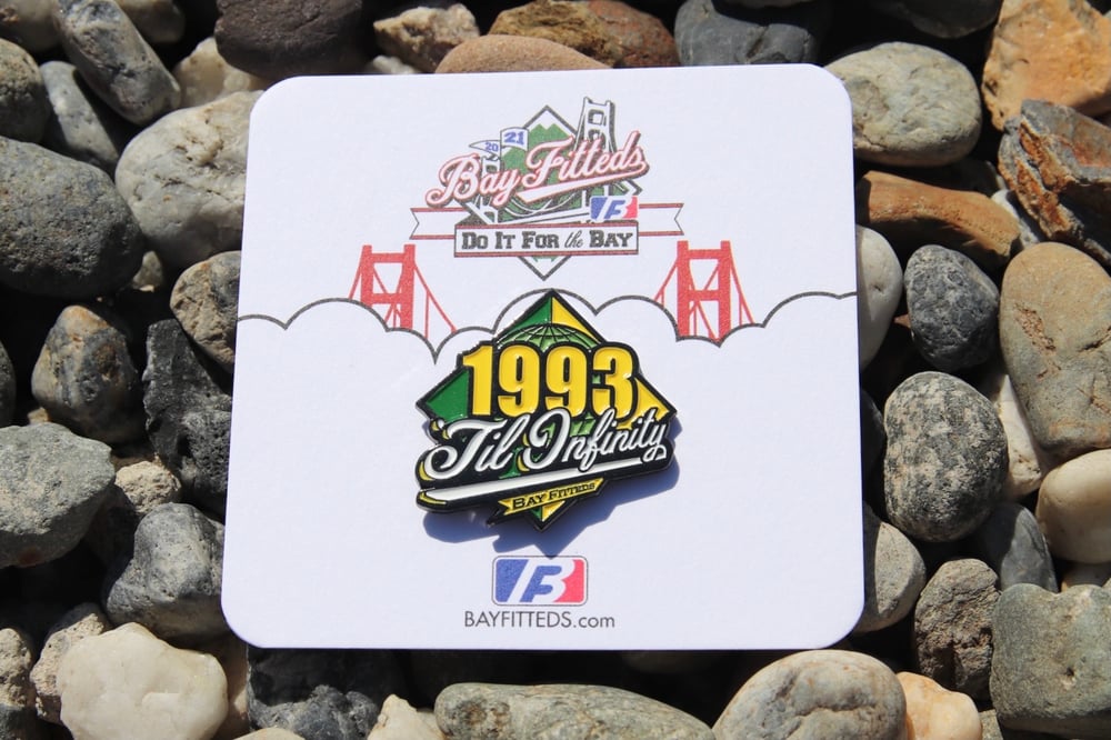Image of 1993 Pin