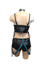 Image 4 of Black and blue 3 piece harness set.