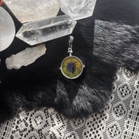 Image 2 of Lg Curiosity Locket I