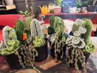 Image 4 of Succulent Planters