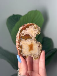 Image 1 of CREAMY LAGUNA AGATE WITH INSANE PARALAX AND MOSSY INCLUSIONS