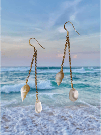 Image 1 of Pink Seaglass Shell Dangles