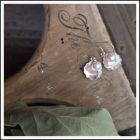 Image 2 of Freshwater Babies