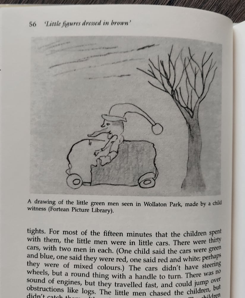 Fairies: Real Encounters with Little People, by Janet Bord