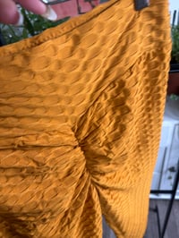 Image 2 of NWT Honey textured tights 